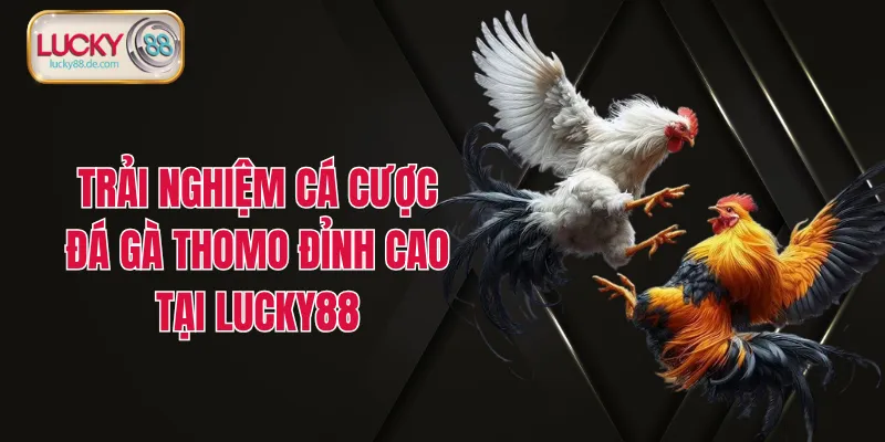 Đá Gà LUCKY88 - Cược Nhanh, Thưởng To, Chơi Là Thắng