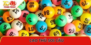 Tin Tức TD88 | Cập Nhật Thông Tin Cá Cược Nhanh Và Chính Xác
