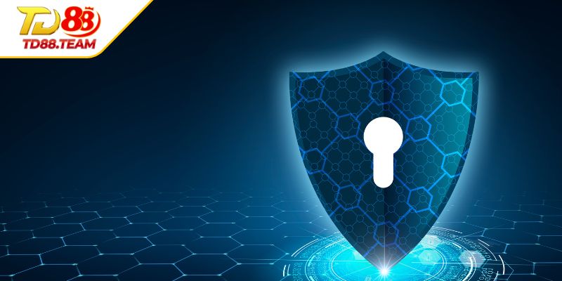 TD88 Bảo Vệ Quyền Riêng Tư Của Khách Hàng Như Thế Nào?