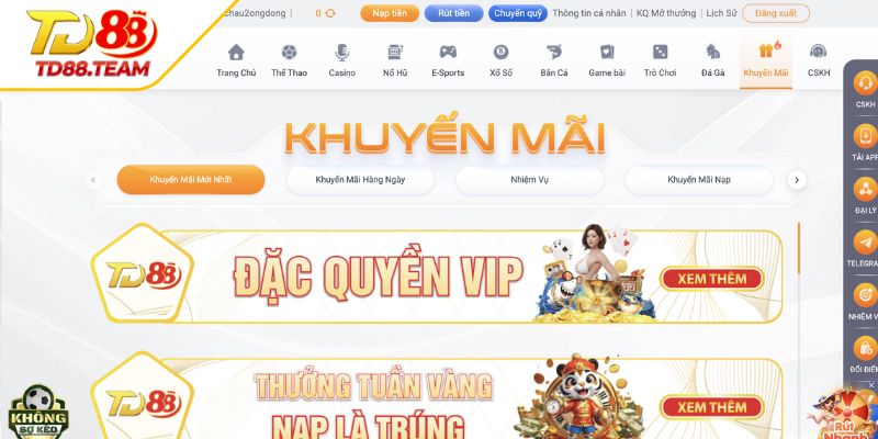 Tin Tức TD88 | Cập Nhật Thông Tin Cá Cược Nhanh Và Chính Xác