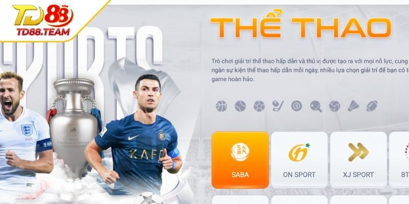 Thể Thao TD88 | Cá Cược Thể Thao Trực Tuyến Tỷ Lệ Cực Cao