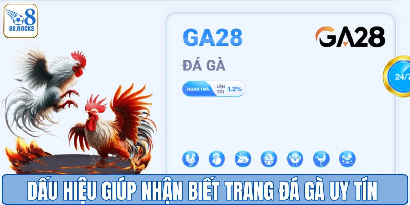 Trang Đá Gà Uy Tín O8 - Sân Chơi Đẳng Cấp Số 1 Việt Nam