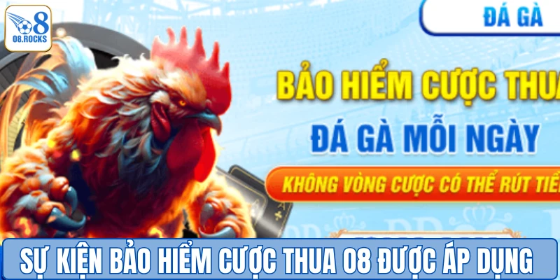 Bảo Hiểm Cược Thua O8 - Giảm Rủi Ro, Tối Ưu Tiền Thưởng