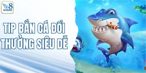 Tin tức O8 | Tổng Hợp Sự Kiện, Ưu Đãi Mới Mỗi Ngày