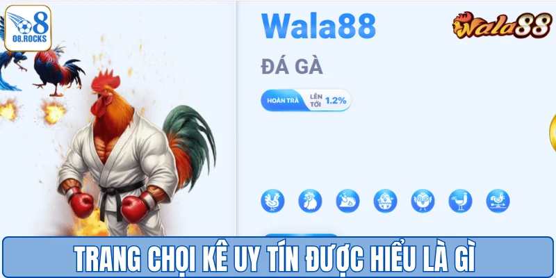 Trang Đá Gà Uy Tín O8 - Sân Chơi Đẳng Cấp Số 1 Việt Nam